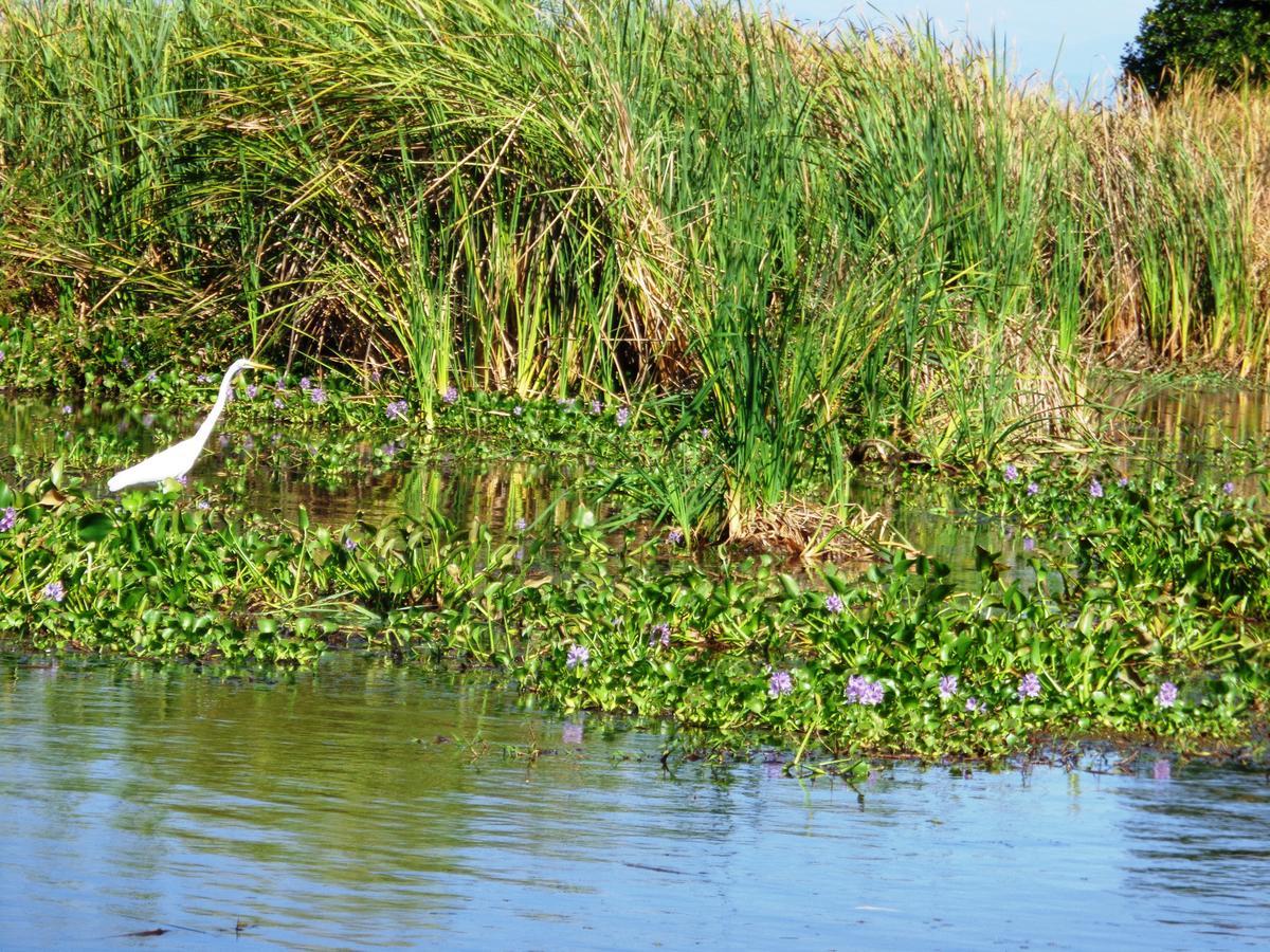 Marbella Eco Lodge Monterrico Kültér fotó