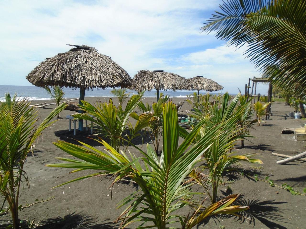 Marbella Eco Lodge Monterrico Kültér fotó